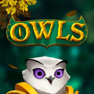 Owls 