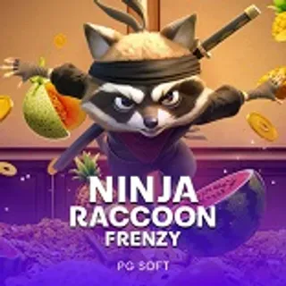 Ninja Raccoon Frenzy