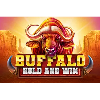 Buffalo Hold And Win