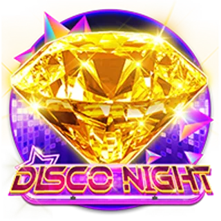 DiscoNight