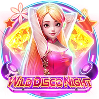 Wild Disco Night