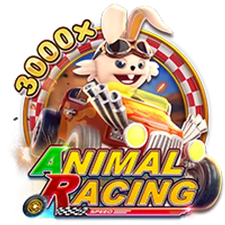 ANIMAL RACING