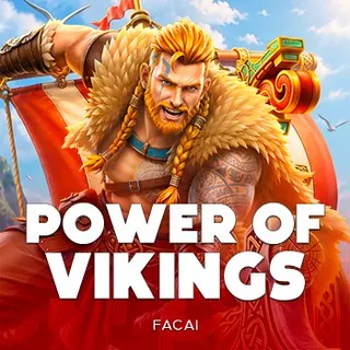 POWER OF VIKINGS