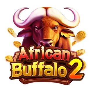 African Buffalo 2