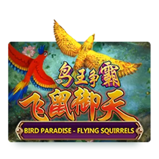 Bird Paradise