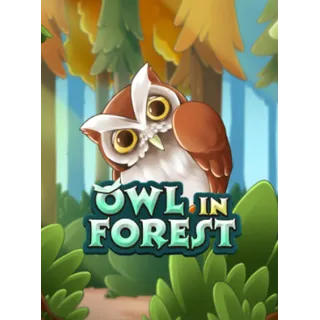 Owl In Forest