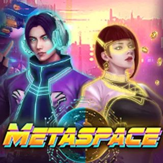 Meta Space