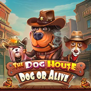 The Dog House – Dog or Alive