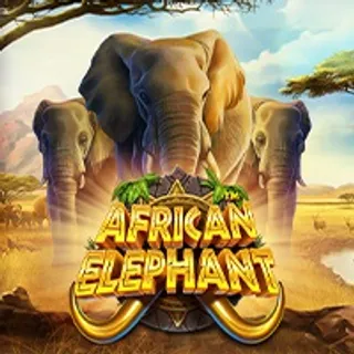 African Elephan