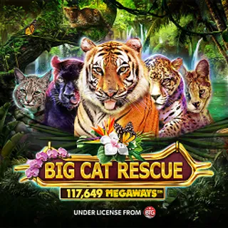 Big Cat Rescue Megaways