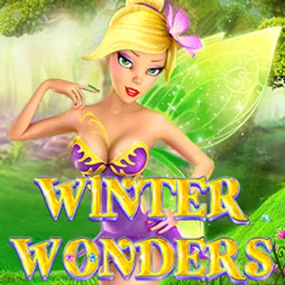 Winter Wonders