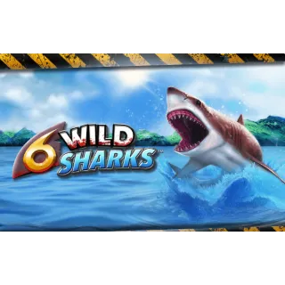 6 Wild Sharks