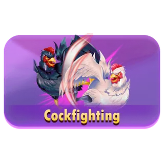 Cockfighting