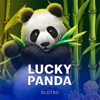 Lucky Panda