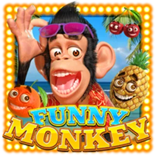 Funny Monkey